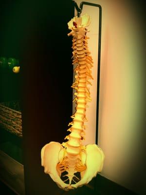 If you have a SPINE, then I have the TIME!!