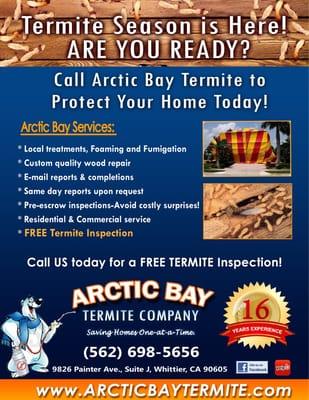 Arctic Bay Termite