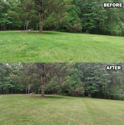 This is a before and after photo of an overgrown lawn I mowed and trimmed.