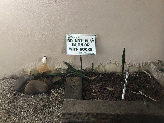 Seriously?!  Do you think that "playing with the rocks" will ruin your award-winning garden design?!  What a dump....