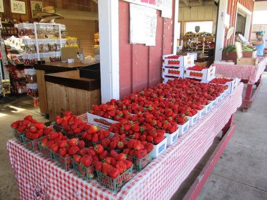 Strawberries in the market.