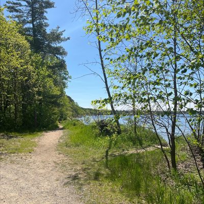 Small trail along the lake shore