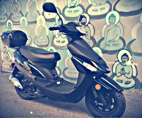 Rent a scooter in Miami beach - Tao Tao 50cc