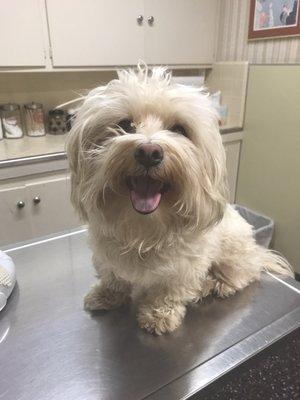 Nothing but smiles at our vet! We love Dr. Jeff!