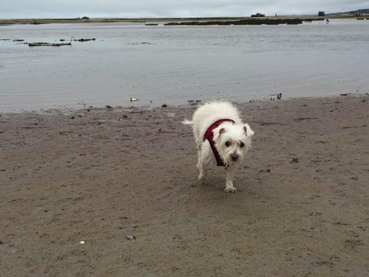 Low tide is awesome !