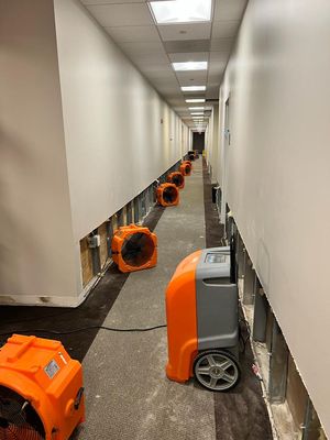 Water Damage in a commercial building with 20+ offices