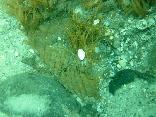 An amazingly well-preserved woven mat found amongst the ballast of 19th-cent schooner