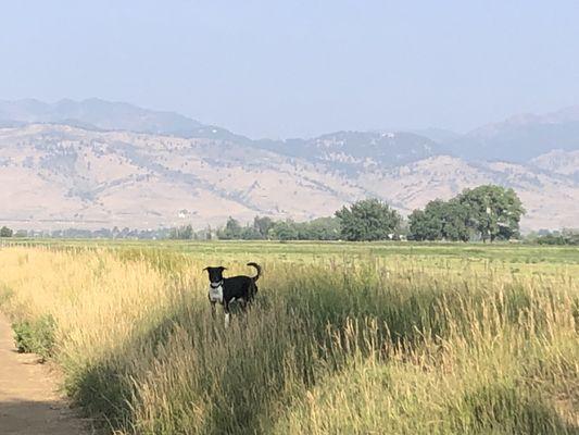 Coot Lake Open Space