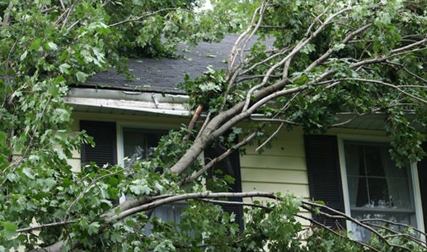 Wind Storm