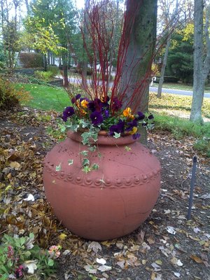 Fall isnt all mums ya know! Pansies love the cool weather Spring or Fall!