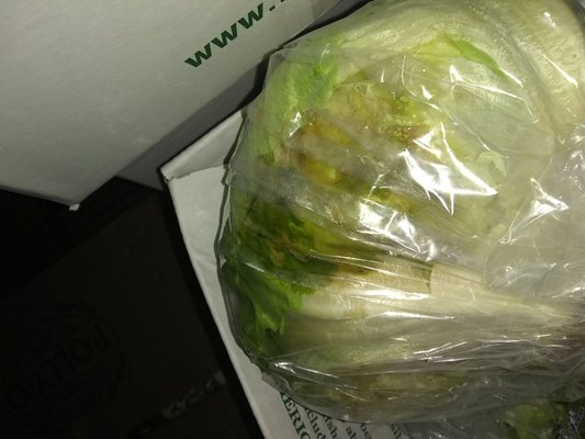 Rotten lettuce ewwwh