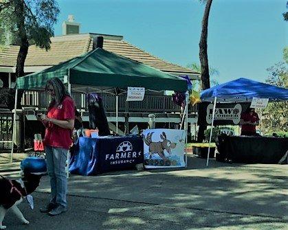 We love pets! Pooch Parade 2018 
 #petinsurance #dorenetammarielloagency