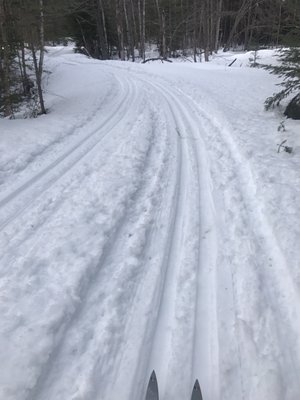 Groomed trails!!