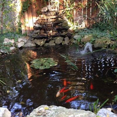 Water feature behind the Granny Hein House.