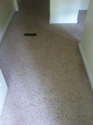 Carpet cleaning