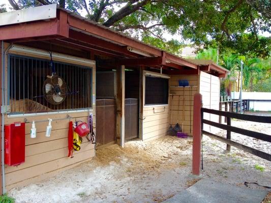 Barn 2.5, You could have your own 2 stall suite if you desire!