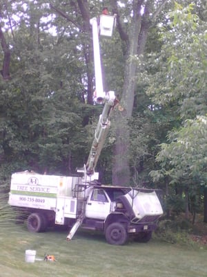 A-1 bucket truck