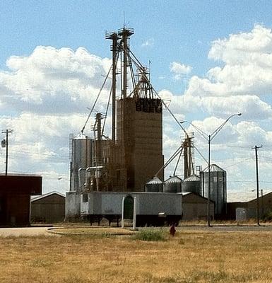 Jones Seed Company