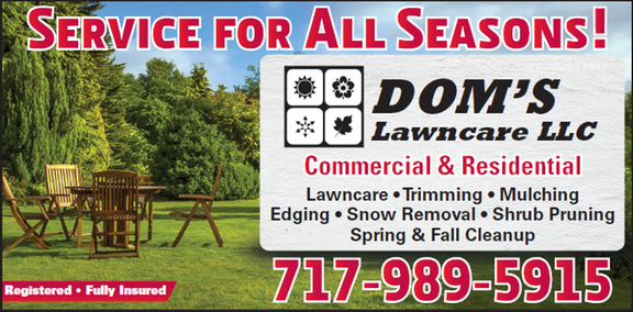 Dom's Lawncare LLC