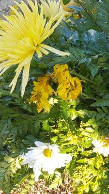 Wilted flowers in the arrangement