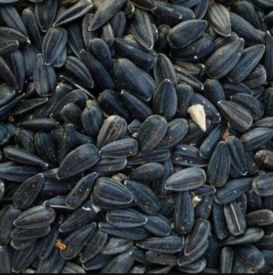 Sunflower seed is the most commonly fed bird seed. We will always strive to give you the best prices in town.