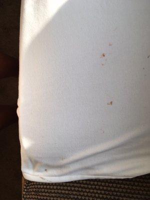 More stains on the shirt that were not there before today