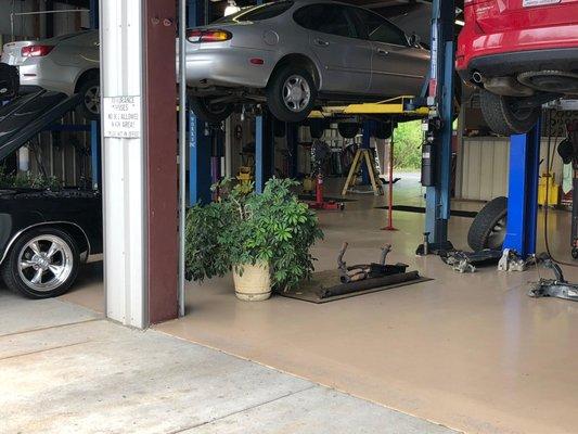 We keep our sop floor clean so your vehicle stays clean. Photo taken5/15/2018