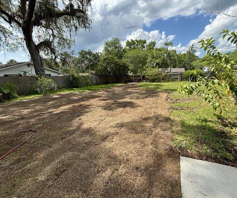 Day that sod was installed