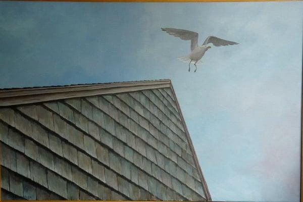 Scituate Seagull, one of the original paintings by Artist/Owner David J.Hamblen on display at the gallery.