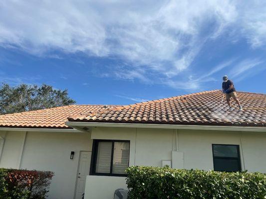 Low pressure roof wash