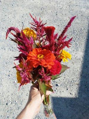 Schnitzelburg Community Farmers Market