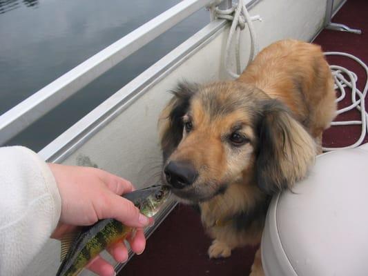 Tyler deciding if he wants perch for lunch