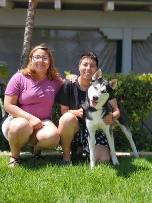 Storm the Husky was rescued off the streets one night by Mina Donahue. Through her efforts he was safely returned to his family!