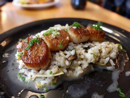 Lunch special today: scallops, risotto, artichoke, garlic, lemon.  Aka a few of my favourite things.