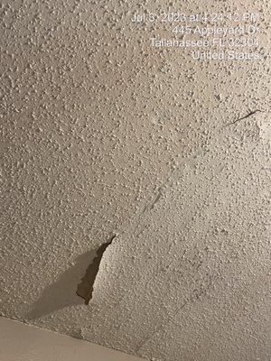 ceiling literally peeling in the master bedroom closet