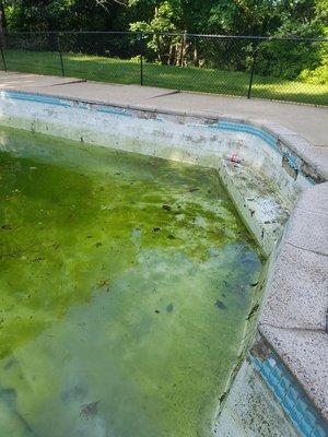 Pool Remodel Before