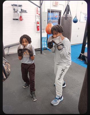 My Young Boxers