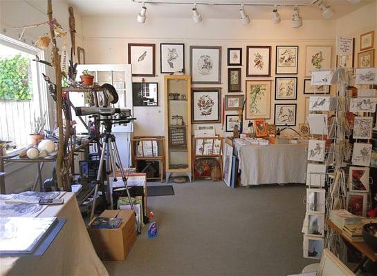 Wildlife Gallery & Studio