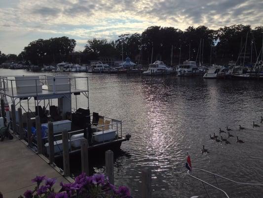 View from the front deck.