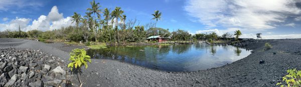 warm pond