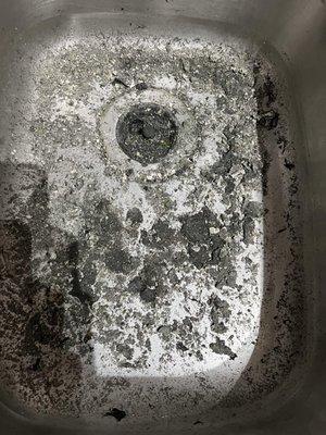 Black Stuff Left In Sink After Water Drained