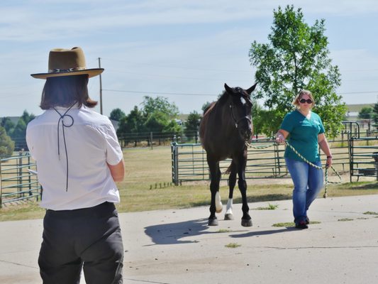 Dr. Page evaluates a patient on the Motion Analysis Site at the clinic.