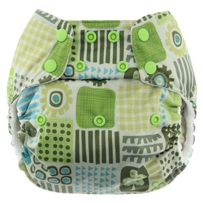 Blueberry One Size All In One Diaper