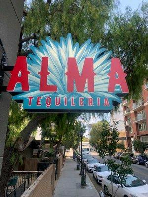 Check out Alma Tequileria in San Pedro Square, they have great drinks and a sign that was a lot of fun to design.