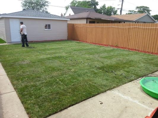 new sod installation