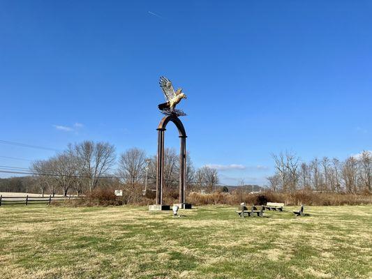 Flight of the Hawk Park