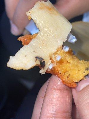 Pictures of the roach on the tamal