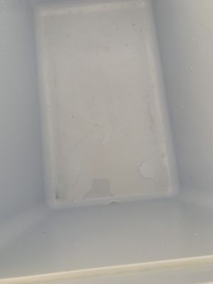 Dirty cooler