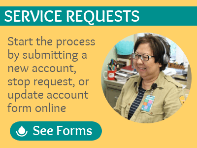 Start the process by submitting a start or stop service request, or update account online at www.boardofwatersupply.com/forms