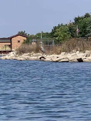 9 Mile Boat Launch